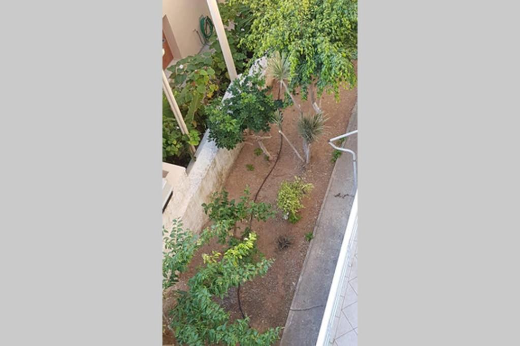 Ellis Apartments , Amperia , Crete Chania  Luaran gambar